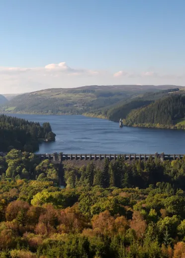 An aerial view of a lake and a dam surrounded by spectacular forests and hills.