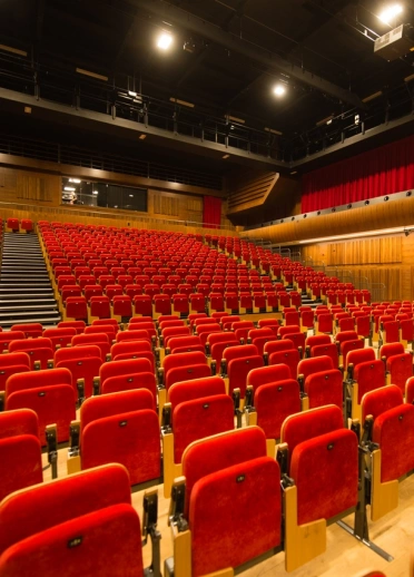 Empty red folding seats in a theatre style conference room.