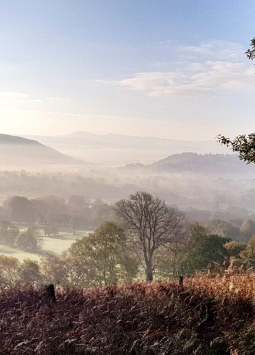 Views of mountains in the mist framed by trees.