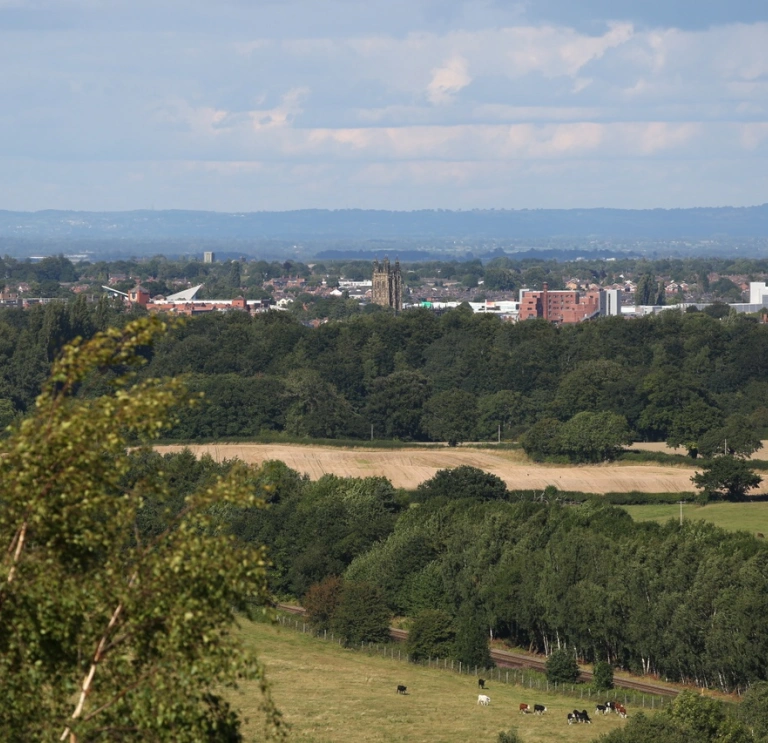 Distant view of a city. 