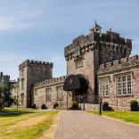 A path leading to a castle distillery with a large tree next to it.